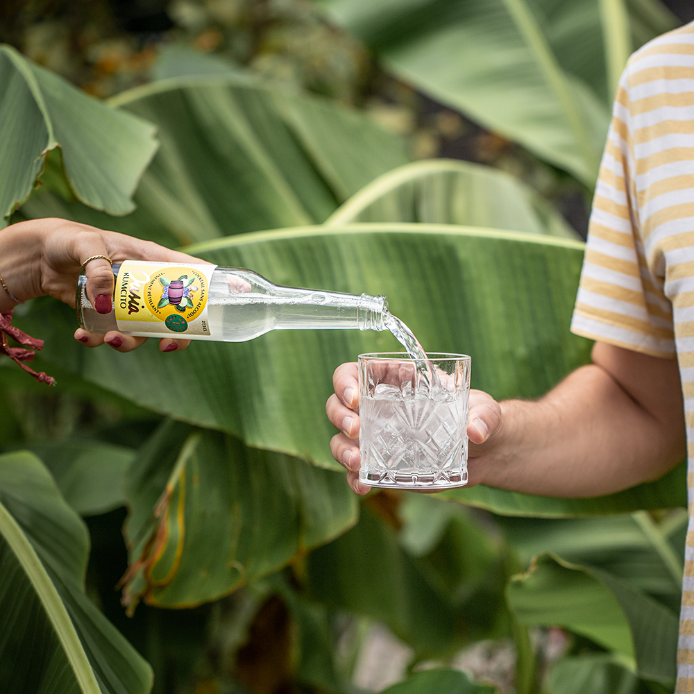 rumcito-cocktail-cocktails-sans alcool-convivialité-apéritif-naturel-fait en France-faits en France-francais-français-peu sucré-peu sucrés-Ousia-Ouisa-Ouisia-boissons-boisson-boisson sans alcool-boissons sans alcool-mixologie-créations maison-spritz-gin tonic-g&tonic-green spirit-ambiance-partage-packshot-fraicheur-fraîcheur-exotisme-pétillant-petillant-pétillants-petillants-infusion-arôme-arome-arôme naturel-arome naturel-gingembre-gimgenbre-citron vert-rhum-rhum jamaicain-sirop d'agave